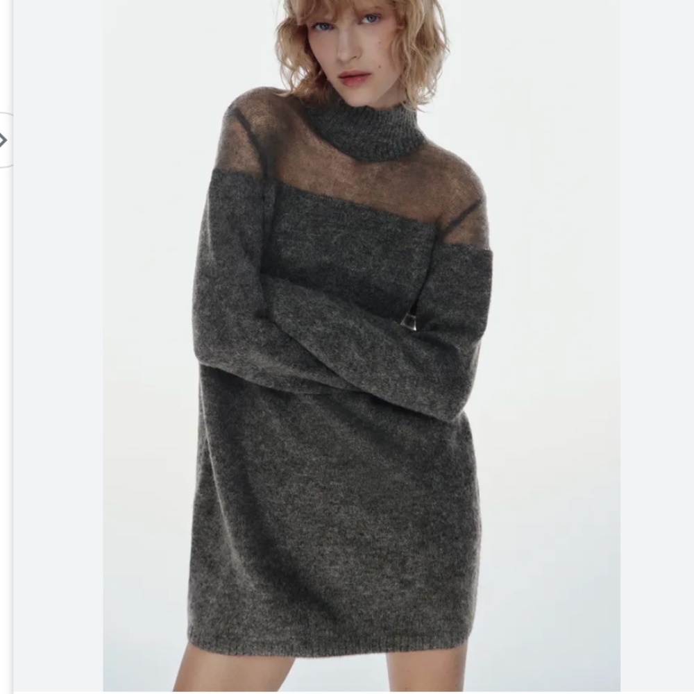 Zara Semi Sheer Detail Knit Dress